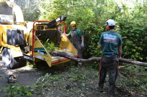 tree services Sauk Village